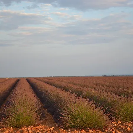 Les Terrasses De 4* Valensole