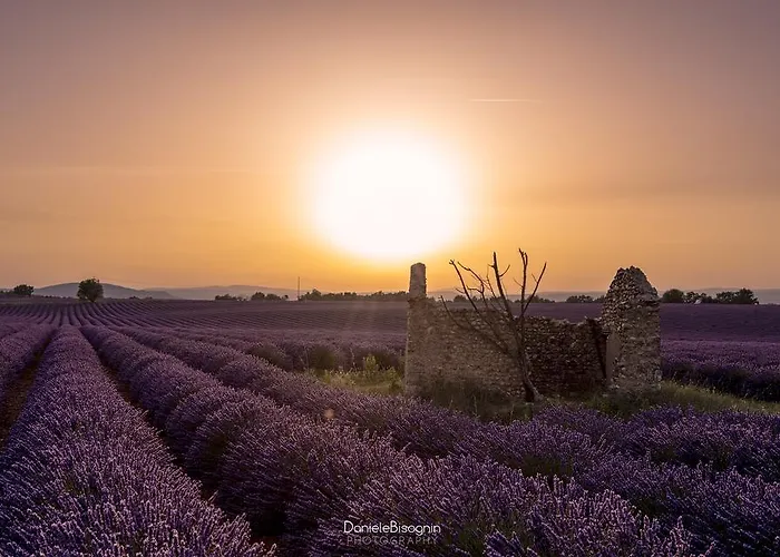 Les Terrasses De Bed & Breakfast