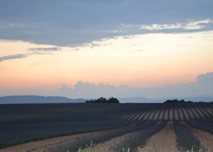 Les Terrasses De Valensole