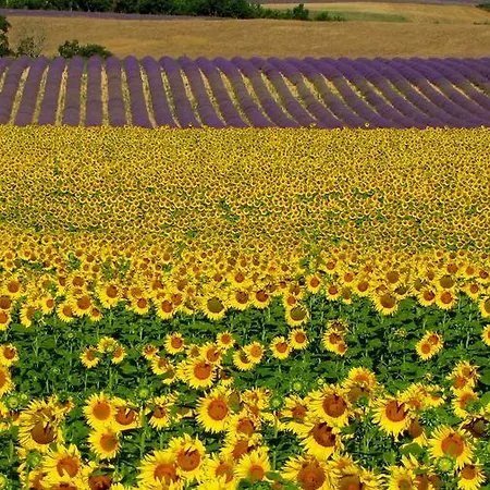 住宿加早餐酒店 莱斯梯田德瓦朗索尔住宿加早餐旅馆