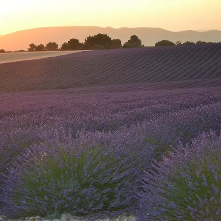 Bed & Breakfast Les Terrasses De