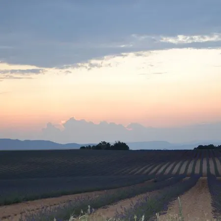 Les Terrasses De Valensole