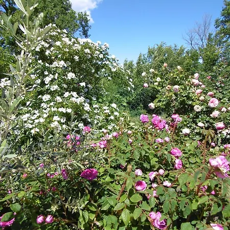 Les Terrasses De Bed & Breakfast 4*