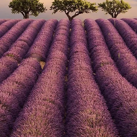 莱斯梯田德瓦朗索尔住宿加早餐旅馆