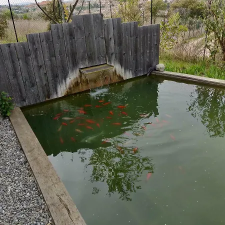 Bed & Breakfast Les Terrasses De Valensole