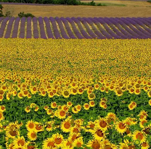 Bed & Breakfast Les Terrasses De