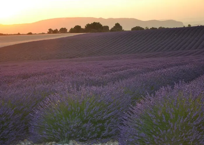 Bed & Breakfast Les Terrasses De