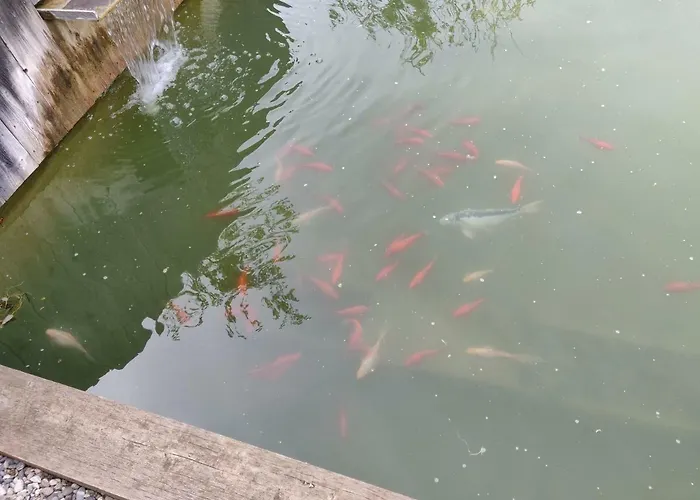 Les Terrasses De Bed & Breakfast Valensole