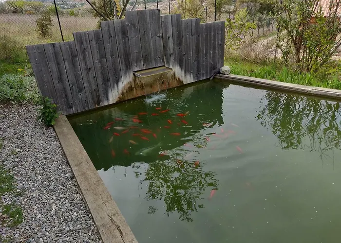 Bed & Breakfast Les Terrasses De Valensole